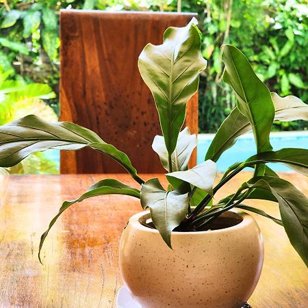 Danaya'S Villa Ubud  Luaran gambar